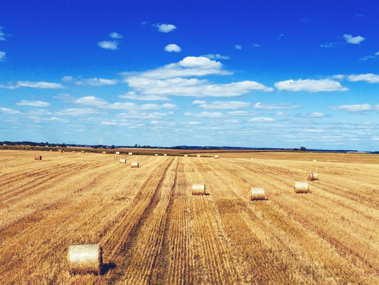 Hledáme provozního skladníka